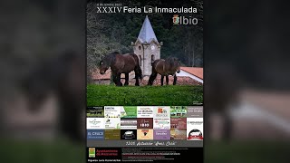 XXXIV Feria de La Inmaculada en Ibio | Ayuntamiento de Mazcuerras 2023