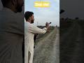 Airgun 40m accuracy test Gamo shadow 1000 airgun
