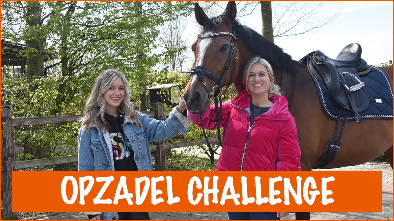OPZADEL CHALLENGE met STERRE KONING | PaardenpraatTV