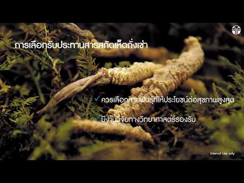 Video คอร์ดีแม็กซ์ ซีเอส 4 CordyMax CS 4 ถั่งเช่าทิเบต... - youtube