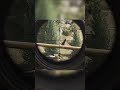 Check out the full video to see what happens!#gaming #arenabreakout