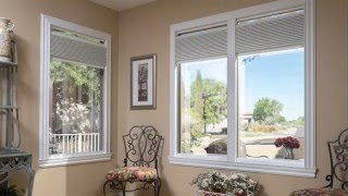 Blindsgalore ClearView Window Shutters