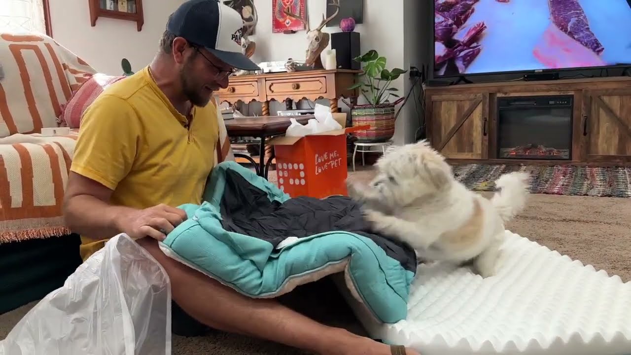 EHEYCIGA Best Orthopedic Dog Bed Bed W/Removable Cover ✅ REVIEW