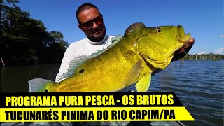 PESCARIA DE TUCUNARÉ PINIMA NO RIO CAPIM/PA