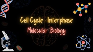 Cell Cycle: Interphase - الدورة الخلوية - MOLECULAR BIOLOGY - تعلم بالعربي