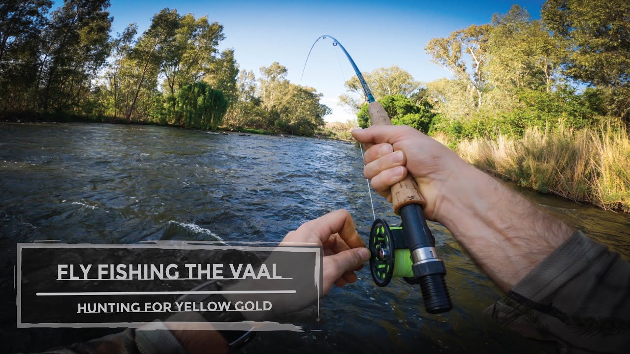 Fly Fishing the Vaal - Hunting for Yellowfish 