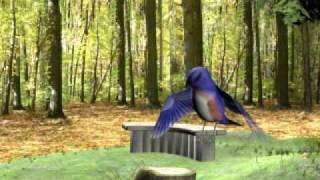 Flap Cycle