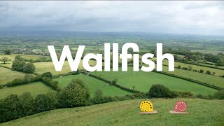 Wallfish, an 18 card game of speedy, swinging snail farming in Sommerset. screenshot 4