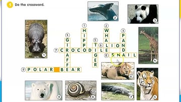 GET SMART 4 UNIT 8 AMAZING ANIMALS - PAGE 68 WORKBOOK
