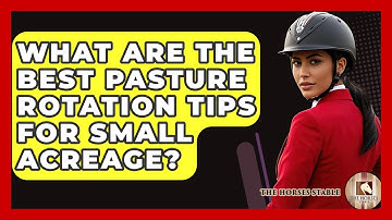 What Are The Best Pasture Rotation Tips For Small Acreage? - The Horses Stable