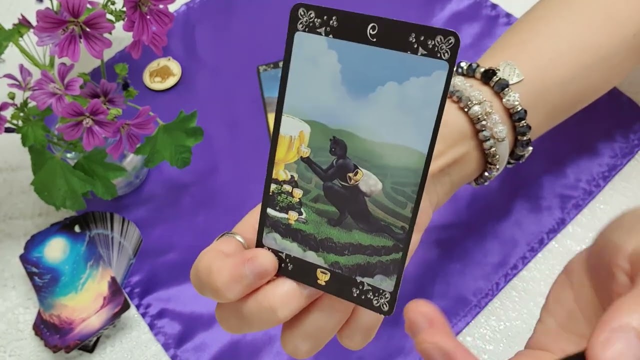 Bika. Expressz kirakás. Július