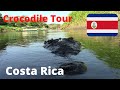 🇨🇷  Costa Rica CROCODILE TOUR: Rio Tarcoles Crocodiles and Scarlet Macaws {Budget Travel COSTA RICA}