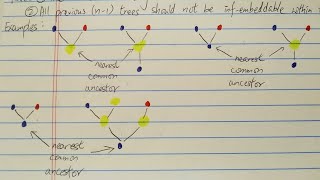 Tree3 Sequence Explained To Highschoolers