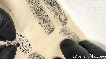 MICROBLADING - Spine 5 Brows on Latex | David Nguyen