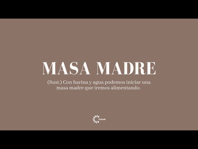 MASA MADRE (qué es, para qué sirve, y cómo hacerla en casa) - PequeRecetas