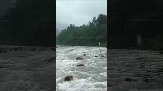 বৃষ্টিতে ভিজে গেলাম। #offbeatnorthbengal #rain #travel #ytshorts