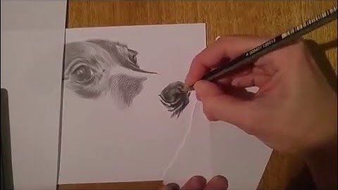 Drawing of dog muzzle and nose tutorial time lapse