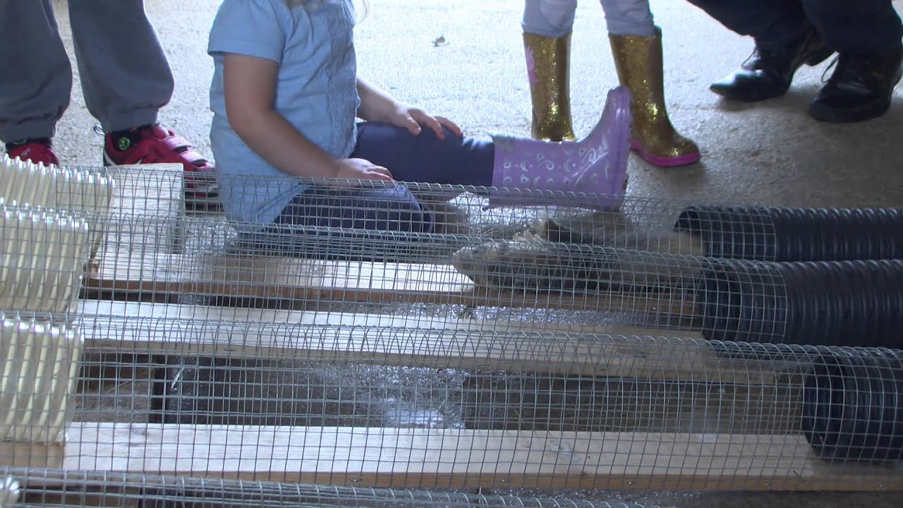 Sacrewell Summer Video