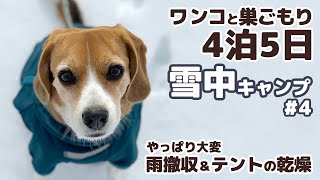 【雪中キャンプ】- 雨撤収＆濡れたキャンプ道具のメンテナンス - 4泊5日 ワンコと巣ごもり 雪中キャンプ #4