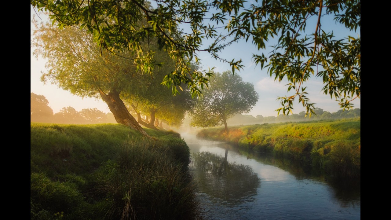 Morning Mist - Easy Listening & Orchestral Relaxing Music