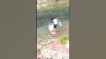 Net Fishing || Velgodu Reservoir || Ofter Close Reservoir Door || #short #reservoir #ifc