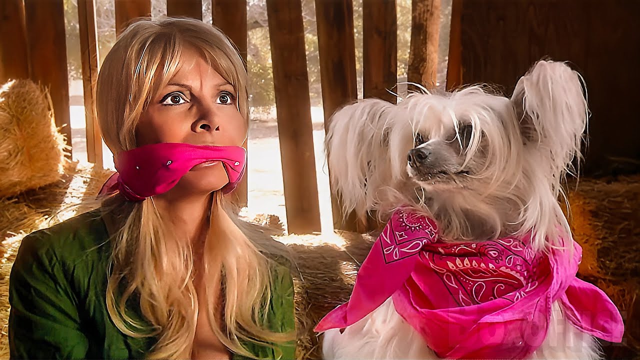 Приключения продажной женщины 🔥 смотреть фильм полный  | русские субтитры