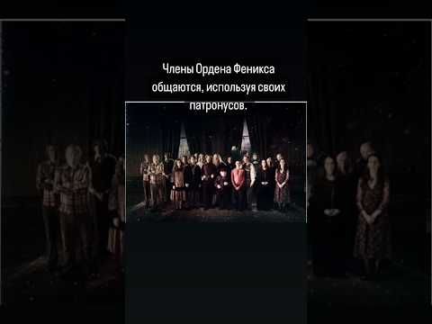 Интересные факты 🎞️