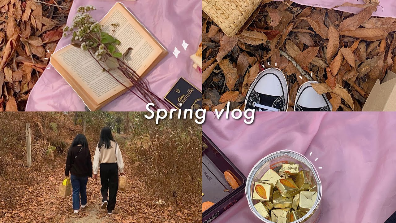 Spring Picnic in Nagaland 🍓🌸 Nature Walks & Soft Moments with Friends