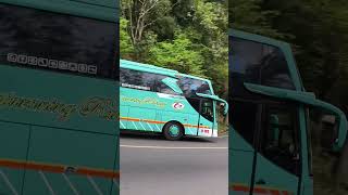 Serunya Hunting Bus di Kelok 5 Banjar, Satu per Satu Meliuk Indah