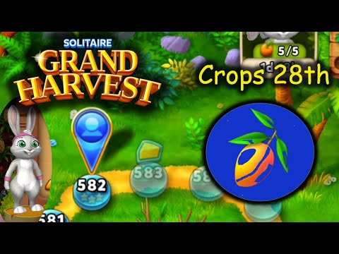 SGH E582 ~ 586 = 28th Crop Section 4 (Solitaire Grand Harvest)