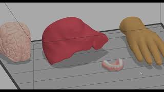 Stratasys Academy | J850 Digital Anatomy 3D Printer: Soft Visual Anatomy screenshot 4