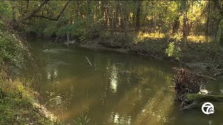 Human remains found in Rouge River in Wayne by kayaker, police investigating