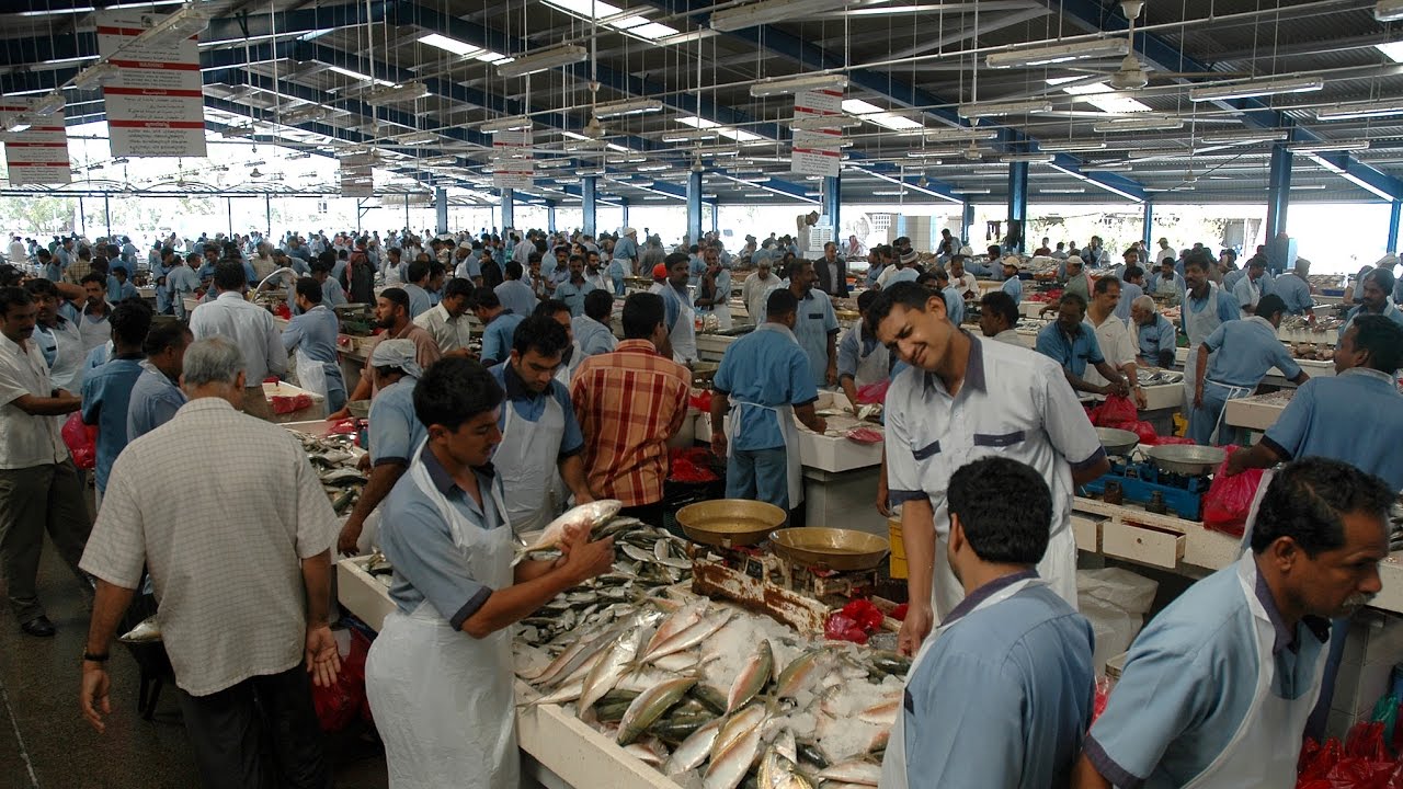 Рыбный рынок дубая Рыбный рынок дубая