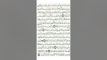 سورة الكهف من (٢٨ إلى ٣٤)