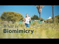 What is Biomimicry?