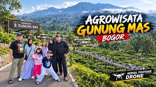 GUNUNG MAS AGROTOURISM PUNCAK BOGOR | DRONE AERIAL FOOTAGE