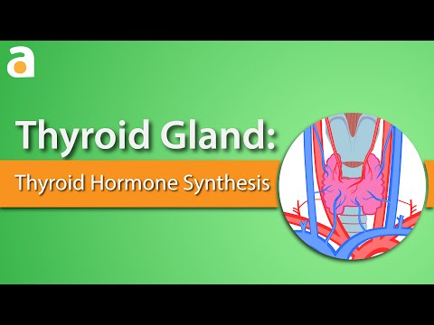 Video: Skydliaukės hormonų sintezėje?