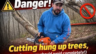 Cutting down a hung up tree, and some you don’t want to mess with!