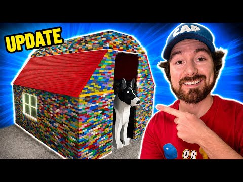 Update On EVERYTHING!