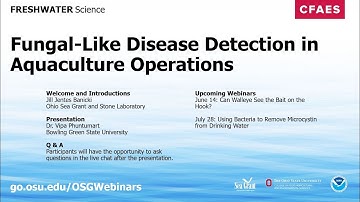 Freshwater Science: Fungal-Like Disease Detection in Aquaculture Operations