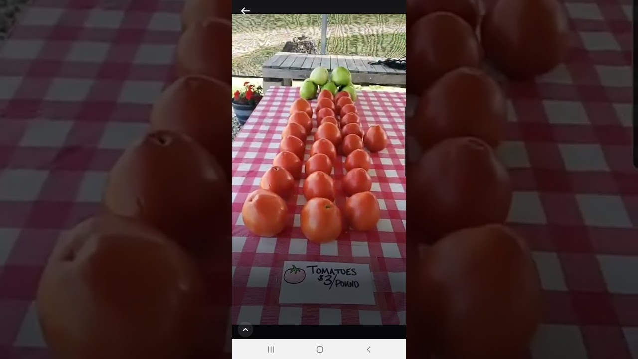 Roberts Farm Market 9057 Ashville Pike 