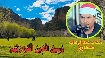وسیق الذین اتقوا ربهم. آیات ۷۳ و ۷۴ سوره زمر. محمد عبدالوهاب طنطاوی #قرآن
