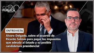 Álvaro Delgado, regarding R. Salinas's agreement to pay his outstanding taxes and his possible ca...