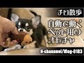 【チロ散歩】おすすめペット用オモチャ-vlog0183