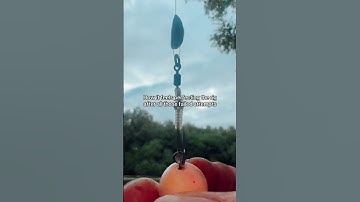 Fail, learn, repeat, succeed 🎯 #carpfishing #anglerlife #rigtips