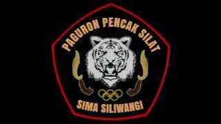 MUSIC PENCAK SILAT PALEREDAN 1