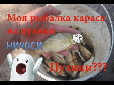 моя рыбалка карась