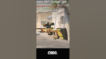 The 1/1 Souvenir Shroud Dragon Lore...