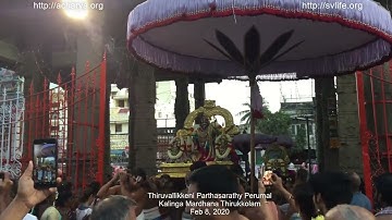 Thiruvallikkeni Parthasarathy Perumal Purappadu - Feb 2020