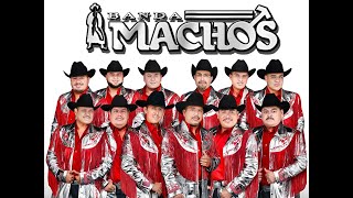 Banda Machos - Puros Exitos de Oro (Rancheras) #musicamexicana #musicabanda